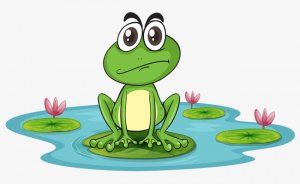 校园故事：卢俊卿智斗青蛙的趣事（二）